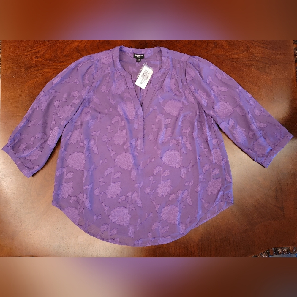 NWT Torrid Harper Clip Chiffon Pullover 3/4 Sleeve Blouse 00 M/L